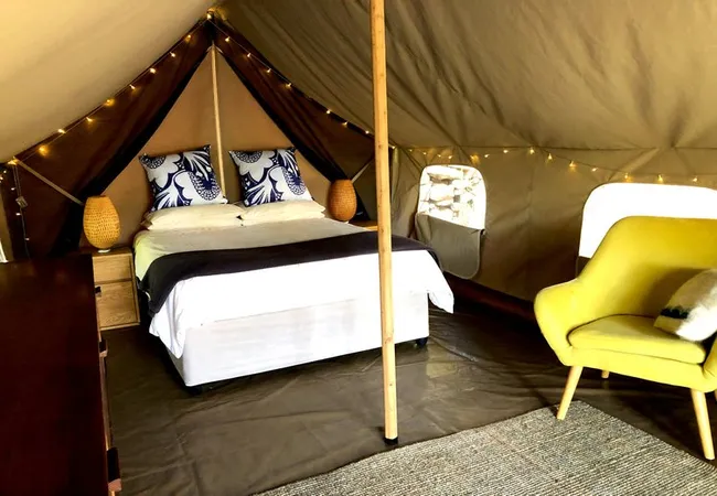 tegwaan-glamping-18km-after-hospital-waterval-boven-qqlmf