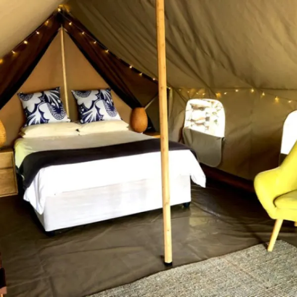 tegwaan-glamping-18km-after-hospital-waterval-boven-qqlmf