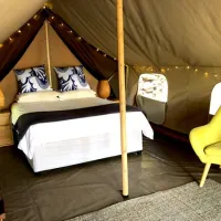 tegwaan-glamping-18km-after-hospital-waterval-boven-qqlmf