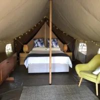 tegwaan-glamping-18km-after-hospital-waterval-boven-yytyw