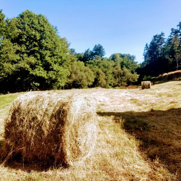 moulin-de-lacombe-st-cirgues-la-loutre-cg7zv