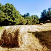 moulin-de-lacombe-st-cirgues-la-loutre-cg7zv