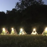 camping-aisi-in-lagodekhi-lagodekhi-hi1xk