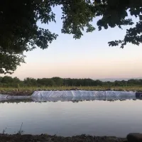 camping-aisi-in-lagodekhi-lagodekhi-n5nrt