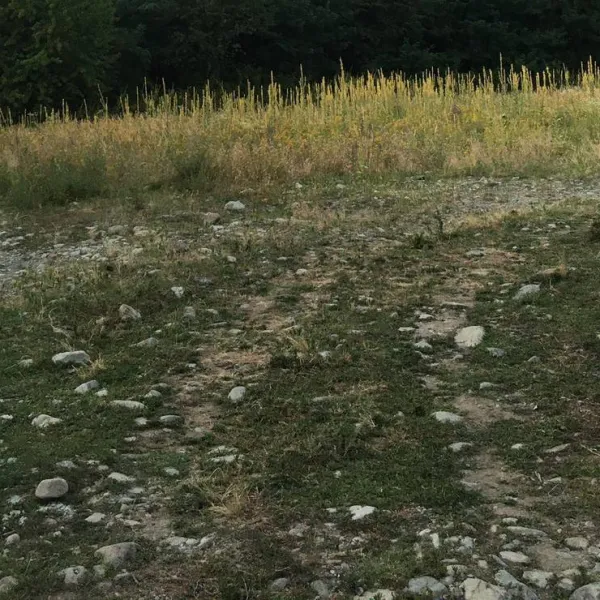 camping-aisi-in-lagodekhi-lagodekhi-tv9bl