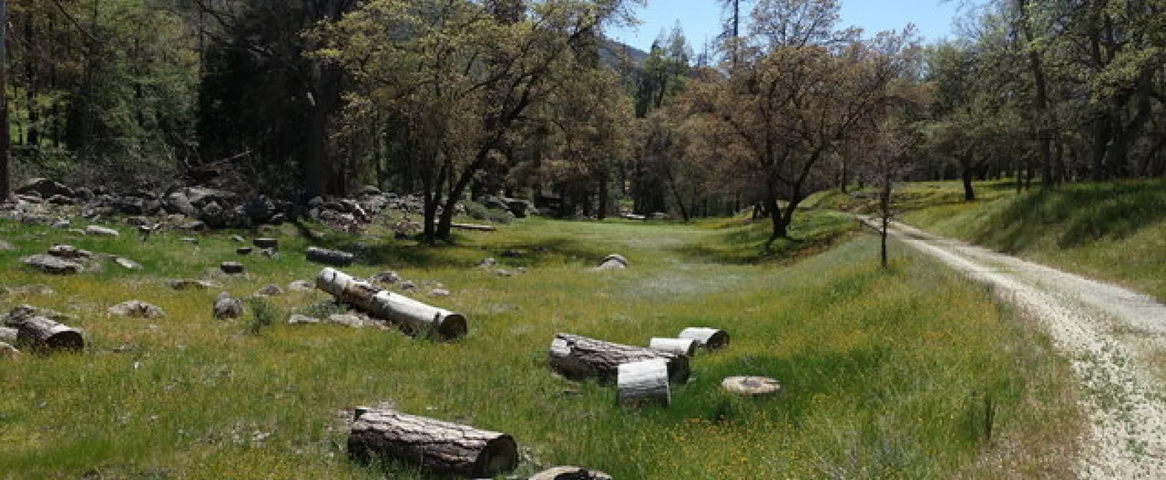 Alder Creek Campground