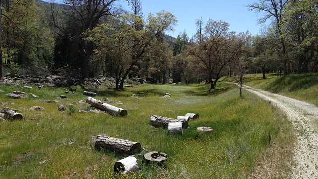 alder-creek-campground-glennville-bkmvd