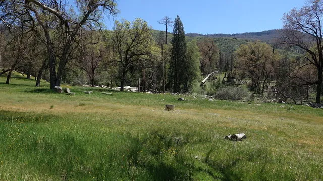 alder-creek-campground-glennville-rhbad