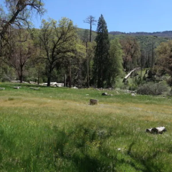alder-creek-campground-glennville-rhbad