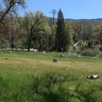 alder-creek-campground-glennville-rhbad