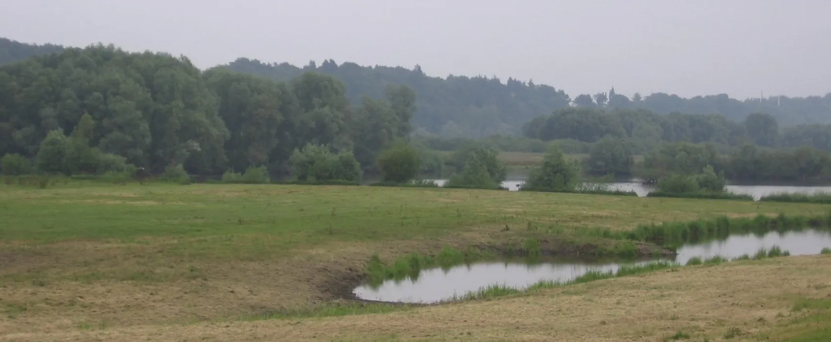 Am Elbdeich