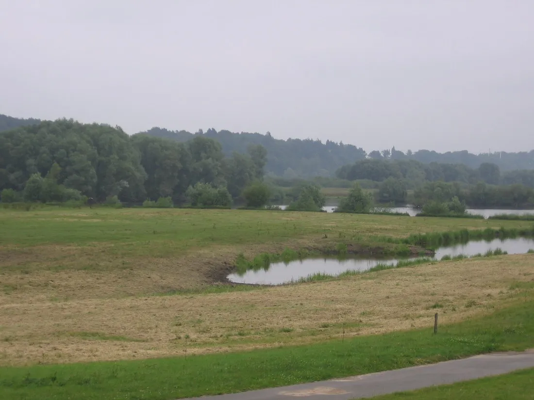 am-elbdeich-brunsbuttel-5bjff