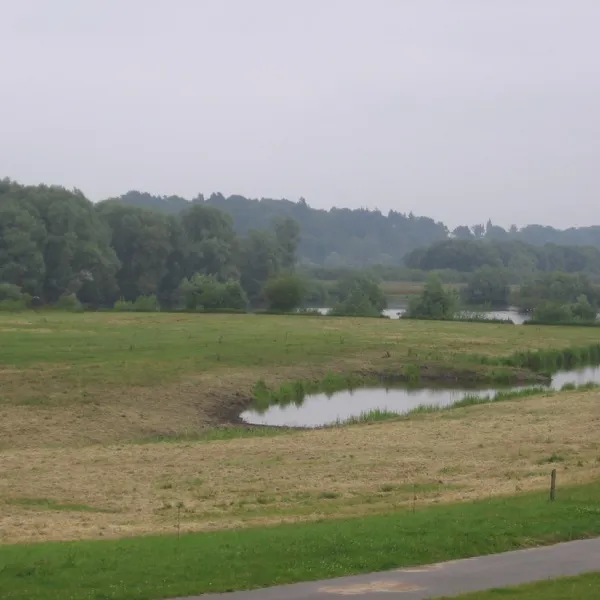 am-elbdeich-brunsbuttel-5bjff