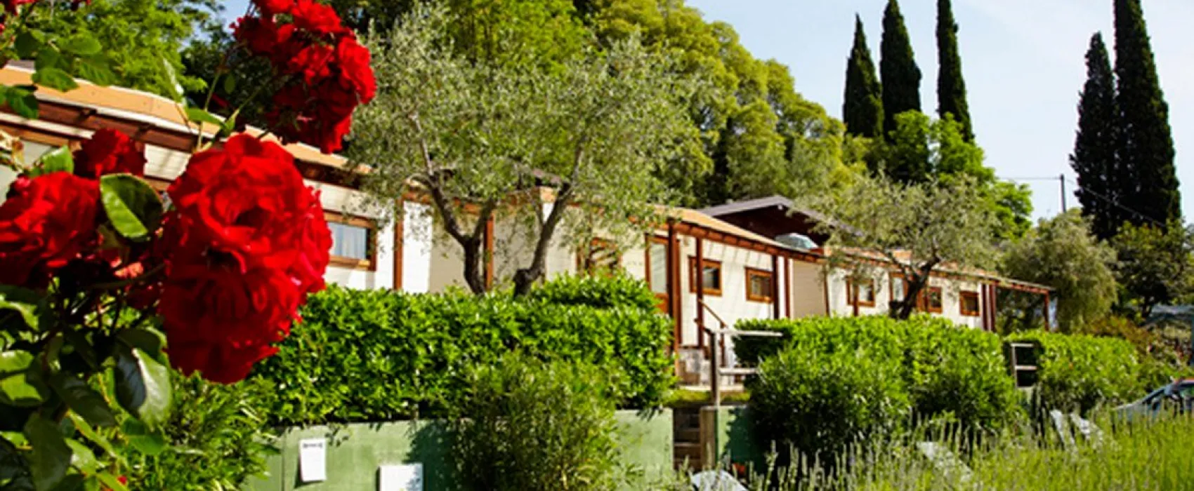 Ideal Molino