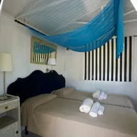 ideal-molino-san-felice-del-benaco-ndten