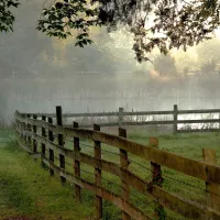 Cozy Acres Family Campground