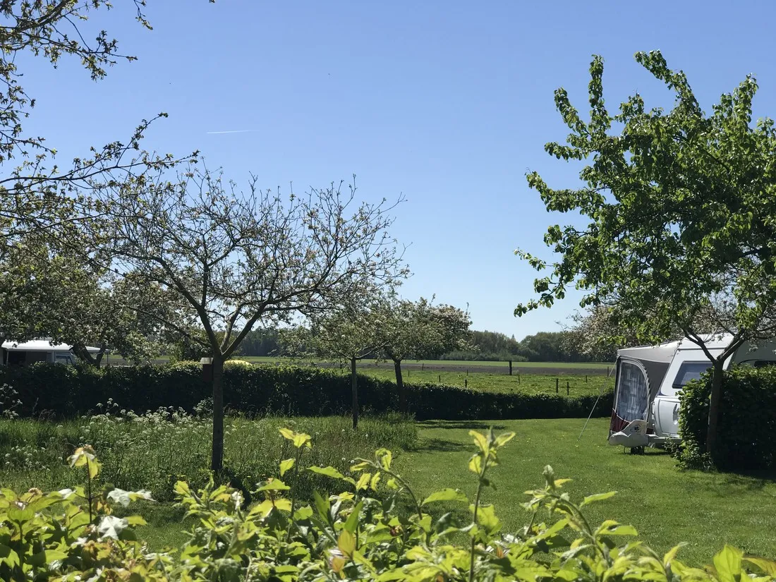 landschapscamping-het-veentieshof-mantinge-cxexa