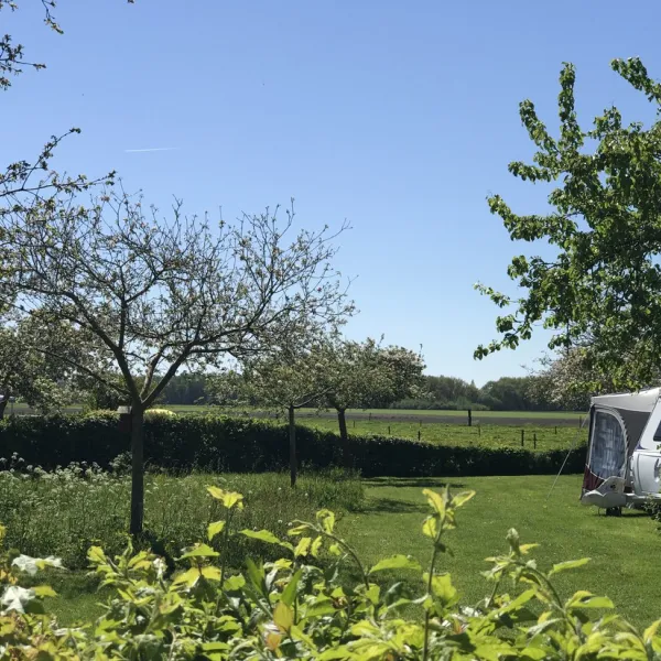 landschapscamping-het-veentieshof-mantinge-cxexa