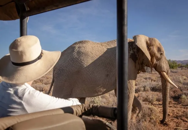 kuganha-luxury-tented-camp-inverdoorn-private-nature-reserve-ceres-karoo-or2gx