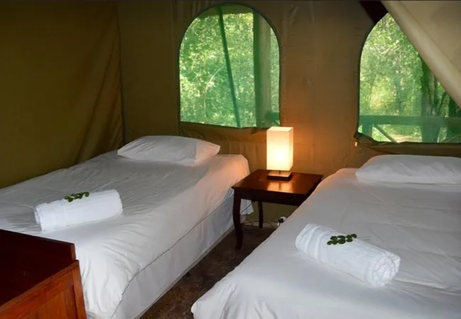 nyala-luxury-safari-tents-marloth-park-impsz