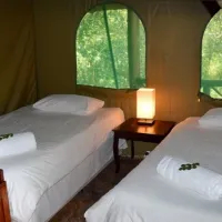 nyala-luxury-safari-tents-marloth-park-impsz
