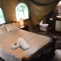 nyala-luxury-safari-tents-marloth-park-pz6wl