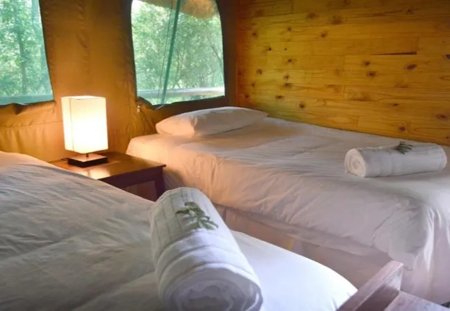 nyala-luxury-safari-tents-marloth-park-tm8hi