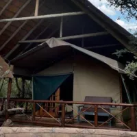 nyala-luxury-safari-tents-marloth-park-urlwn