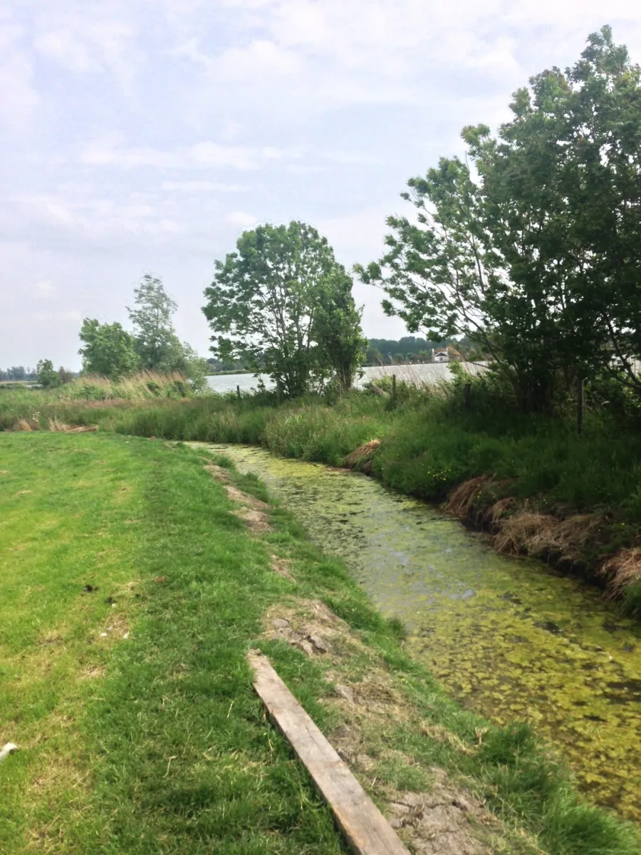 katwoude-katwoude-ggold