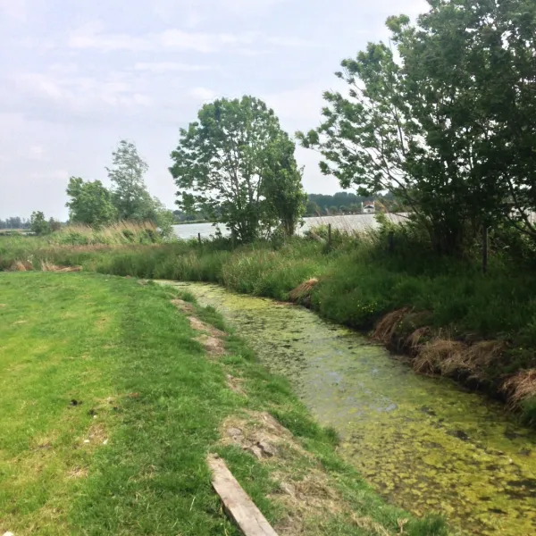 katwoude-katwoude-ggold