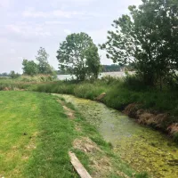 katwoude-katwoude-ggold