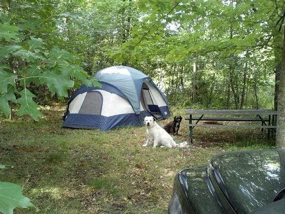 troll-landing-campground-west-branch-tsguk