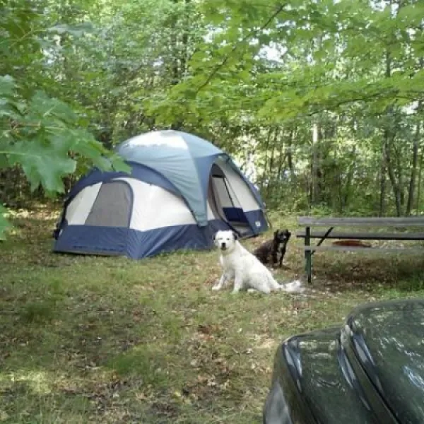 troll-landing-campground-west-branch-tsguk