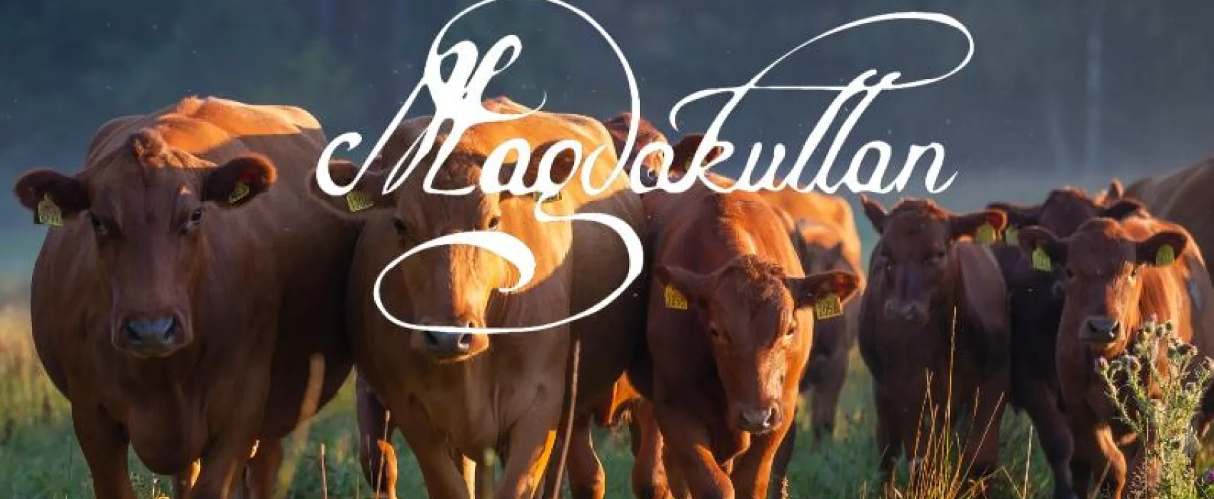 Magdakullan