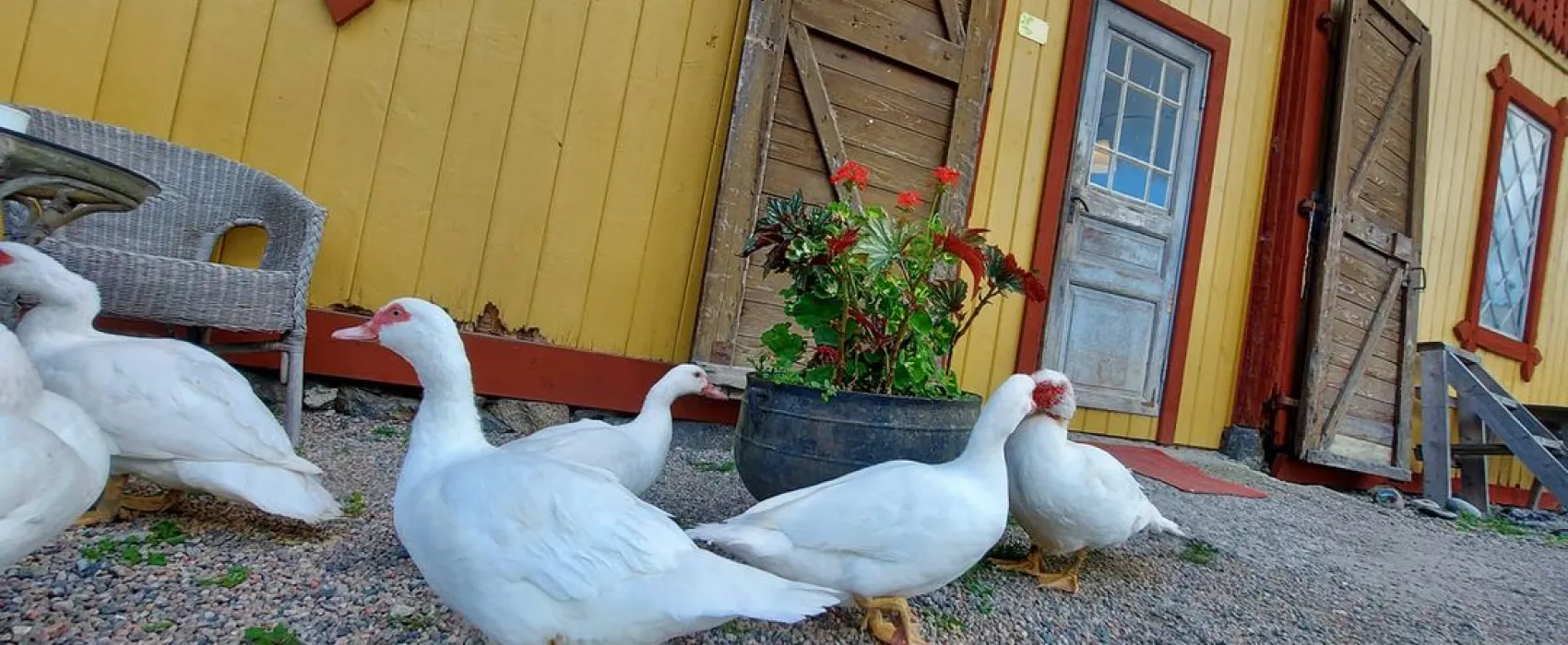 Magdakullan
