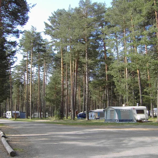 Municipal du Bois des Alberts