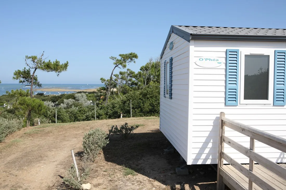 lanse-des-pins-st-georges-doleron-ile-doleron-akxpg