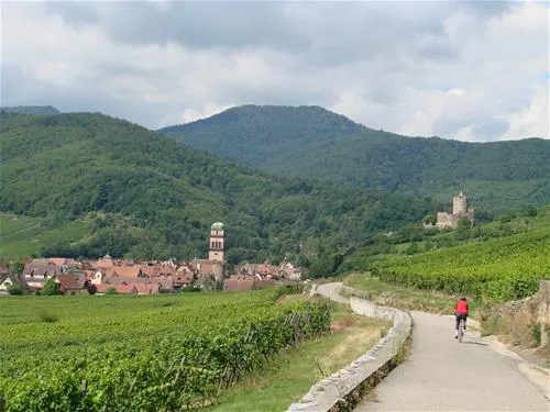 pierre-de-coubertin-ribeauville-haut-rhin-202ba