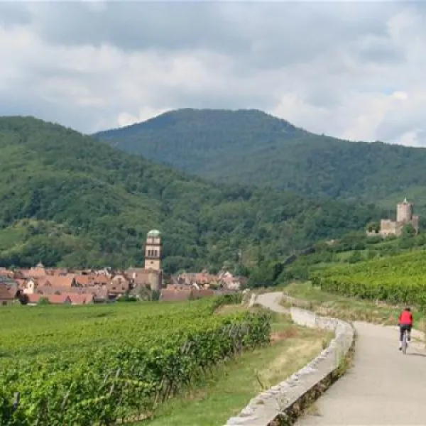 pierre-de-coubertin-ribeauville-haut-rhin-202ba