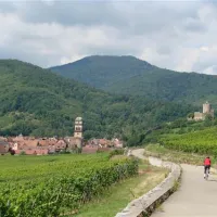 pierre-de-coubertin-ribeauville-haut-rhin-202ba