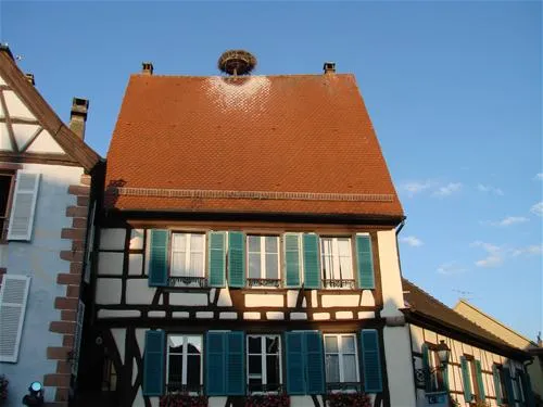 pierre-de-coubertin-ribeauville-haut-rhin-dt5un