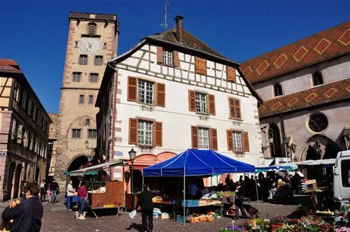 pierre-de-coubertin-ribeauville-haut-rhin-ewjrh