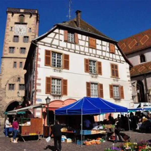 pierre-de-coubertin-ribeauville-haut-rhin-ewjrh