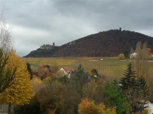 pierre-de-coubertin-ribeauville-haut-rhin-gp6j8