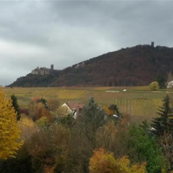 pierre-de-coubertin-ribeauville-haut-rhin-gp6j8