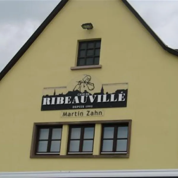 pierre-de-coubertin-ribeauville-haut-rhin-huxdh