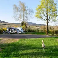 pierre-de-coubertin-ribeauville-haut-rhin-qoccb