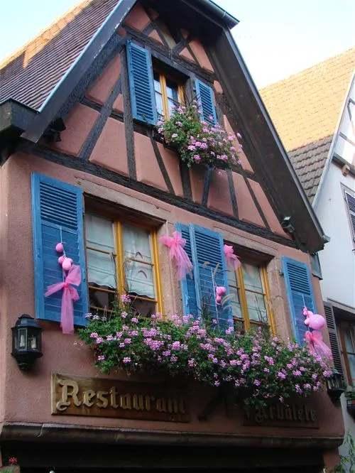 pierre-de-coubertin-ribeauville-haut-rhin-u2rzf