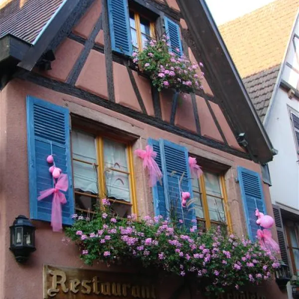 pierre-de-coubertin-ribeauville-haut-rhin-u2rzf