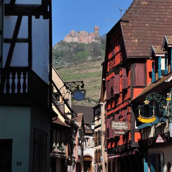 pierre-de-coubertin-ribeauville-haut-rhin-uvhfx